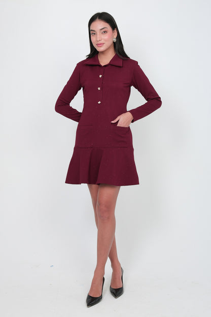 Wine Button-Front Flared Mini Dress
