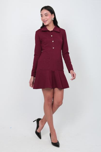 Wine Button-Front Flared Mini Dress