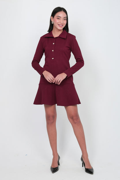Wine Button-Front Flared Mini Dress