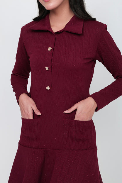 Wine Button-Front Flared Mini Dress