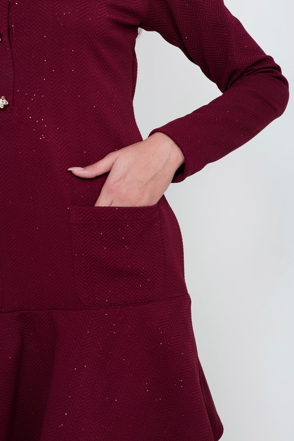 Wine Button-Front Flared Mini Dress