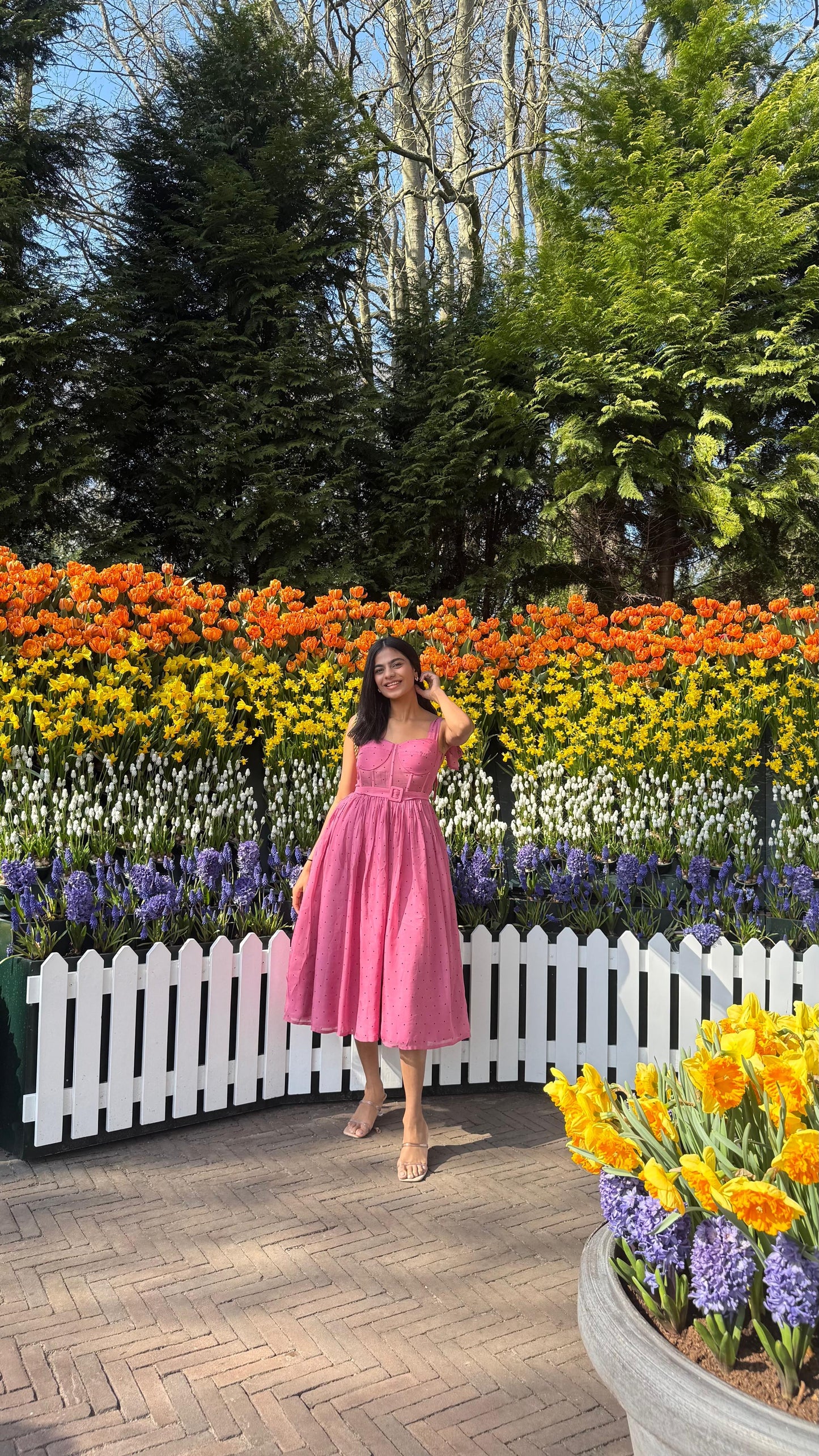 The Dior Dress