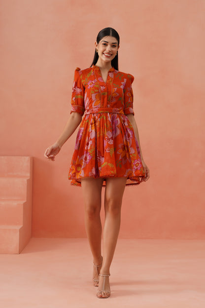 Poppy dress