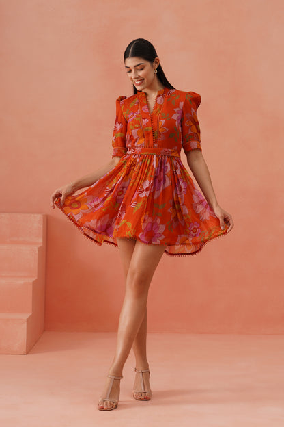 Poppy dress