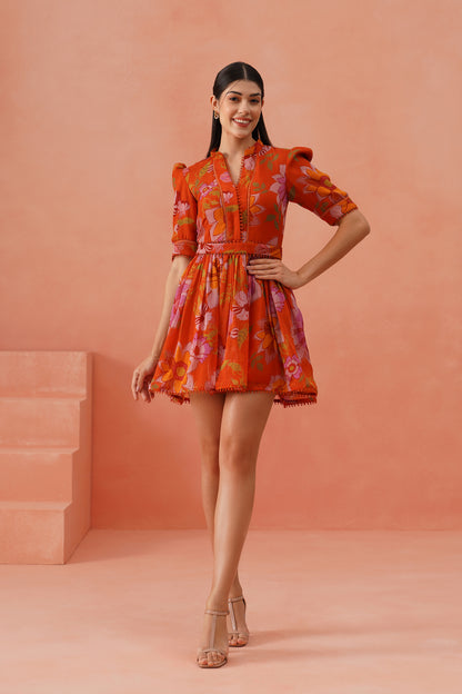 Poppy dress