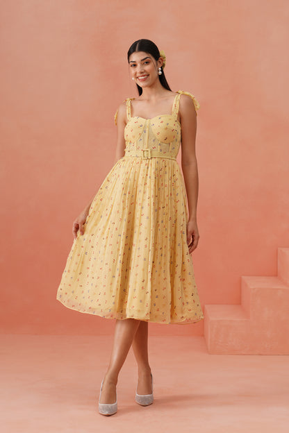 Lemon Dior dress