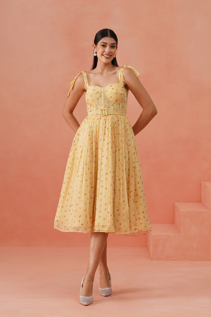 Lemon Dior dress